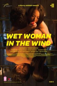 Wet Woman in The Wind (2016) ผู้หญิงเปียกในสายลม (Soundtrack ซับไทย)