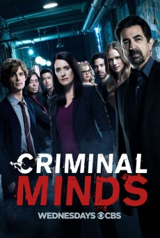 Criminal Minds Season 13 อ่านเกมอาชญากร ปี 13