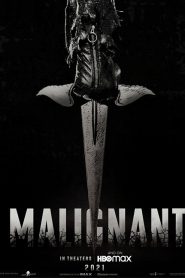 Malignant (2021) มาลิกแนนท์ ชั่วโคตรร้าย