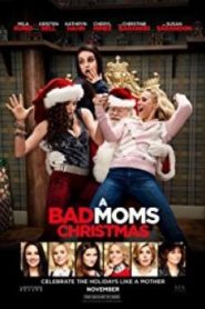 A Bad Moms Christmas คริสต์มาสป่วน แก๊งค์แม่ชวนคึก