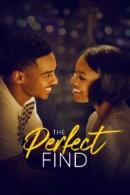The Perfect Find (2023) NETFLIX